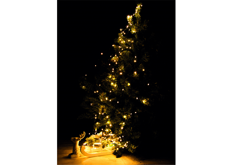 Lampadine di Natale LED Bulinex 10-068