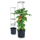 Pomodoro in vaso 28l Prosperplast TOMATO GROWER antracyt